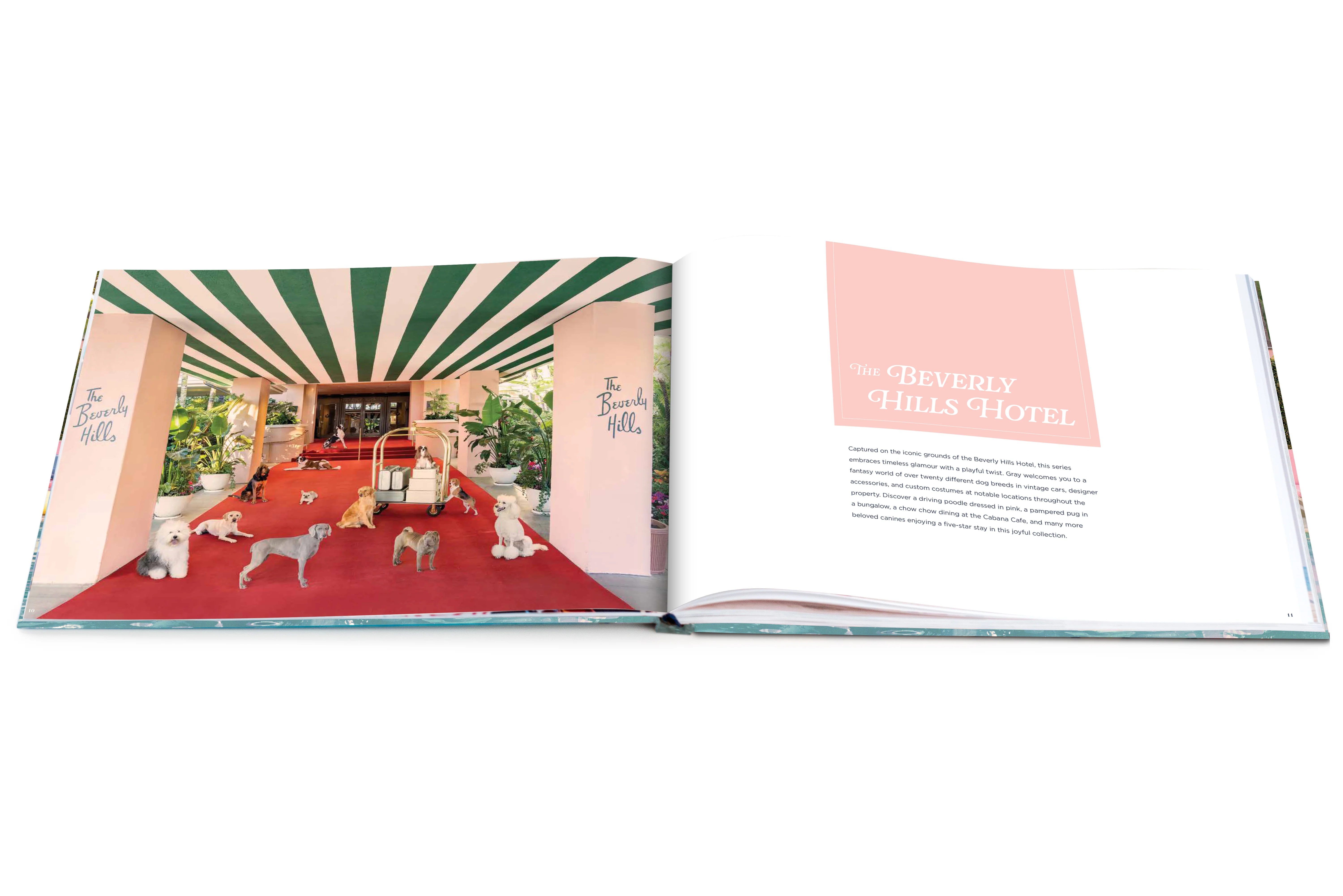 DOGS Book - Image 7